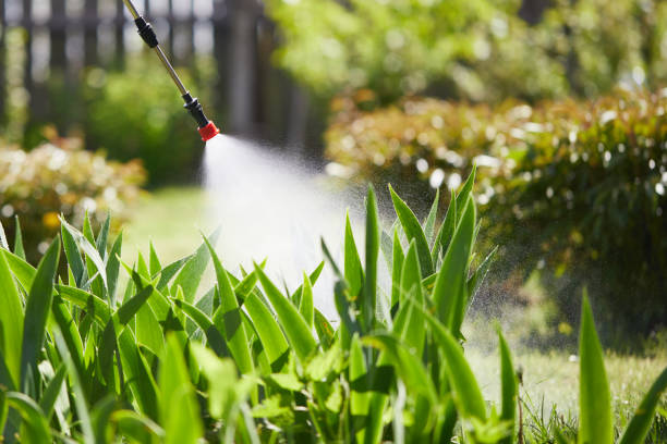 Tamper-Resistant Bait Stations for Rodents in Mount Ayr