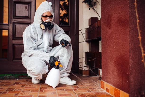 Attic and Crawl Space Rodent Treatment in Mount Ayr