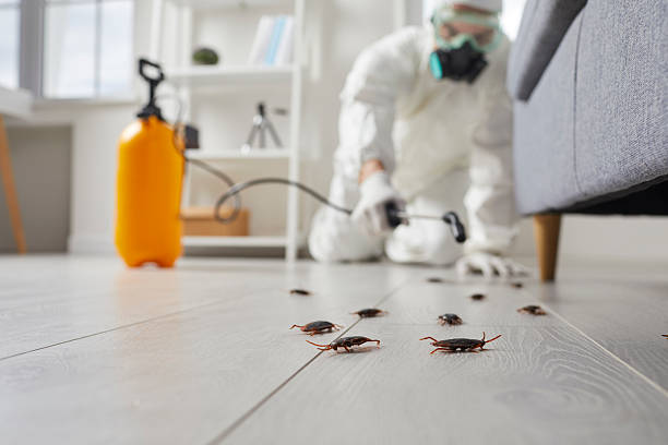 Commercial Rodent Management in Mount Ayr